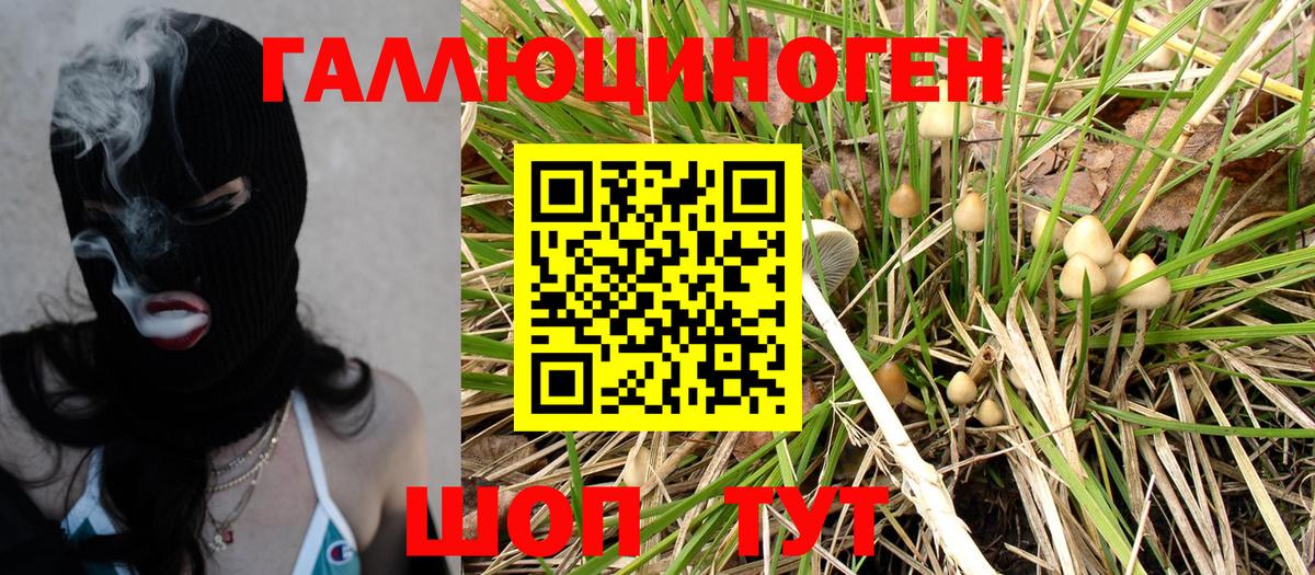 Саранск  Галлюциногенные грибы Magic Shrooms  Вход с VPN 