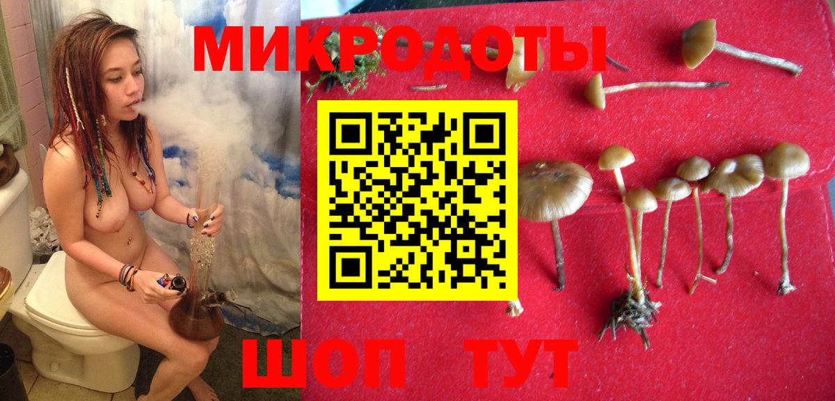 Галлюциногенные грибы Cubensis Саранск
